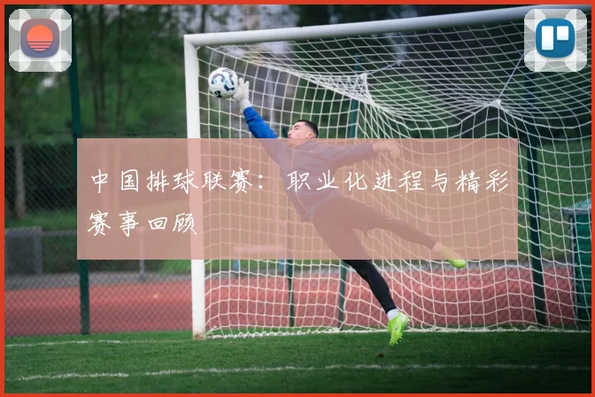 中国排球联赛:职业化进程与精彩赛事回顾