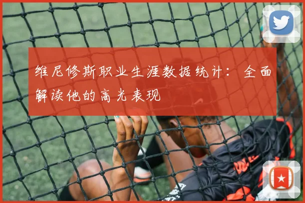 维尼修斯职业生涯数据统计:全面解读他的高光表现