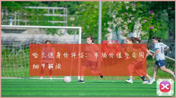 哈兰德身价评估：市场价值与合同细节解读