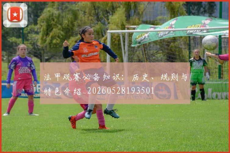 法甲观赛必备知识:历史、规则与特色介绍_20260528193501